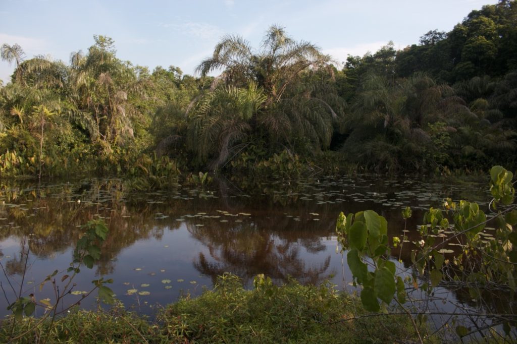 A pond in Bondi Mandingo chiefdom