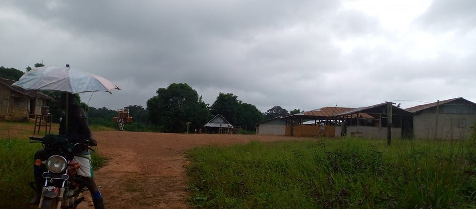 Fineboy Village Fineboy Village