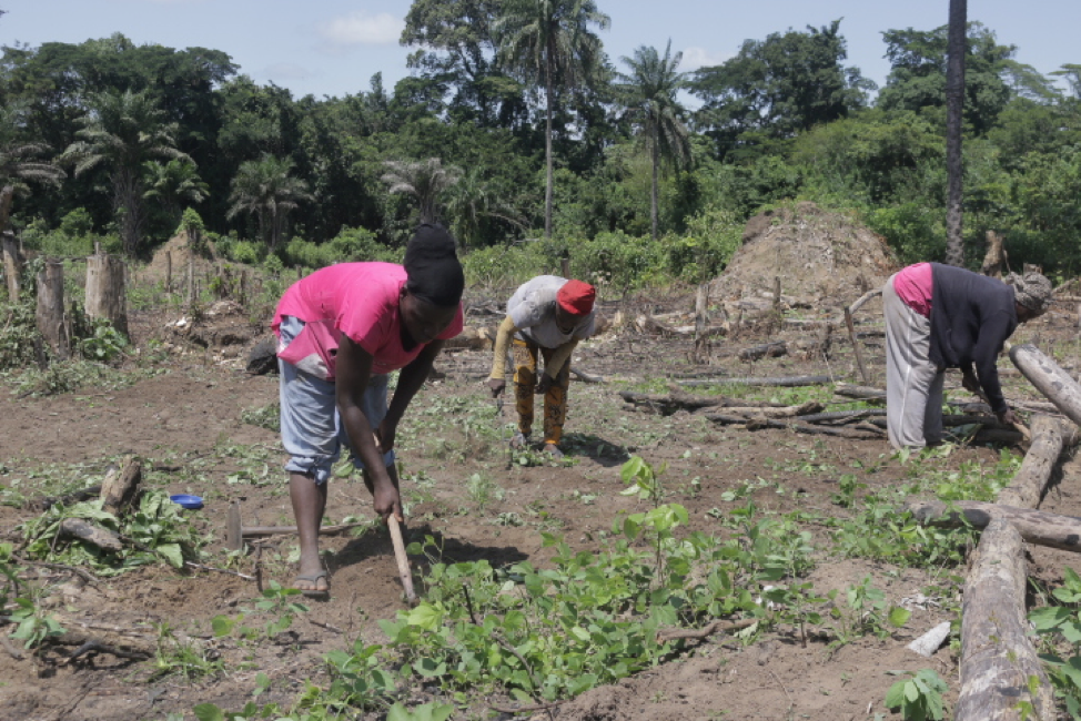 Agriculture Agriculture