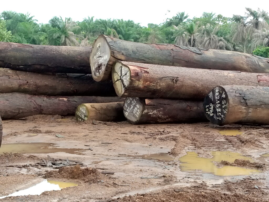 FGL harvested logs scaled
