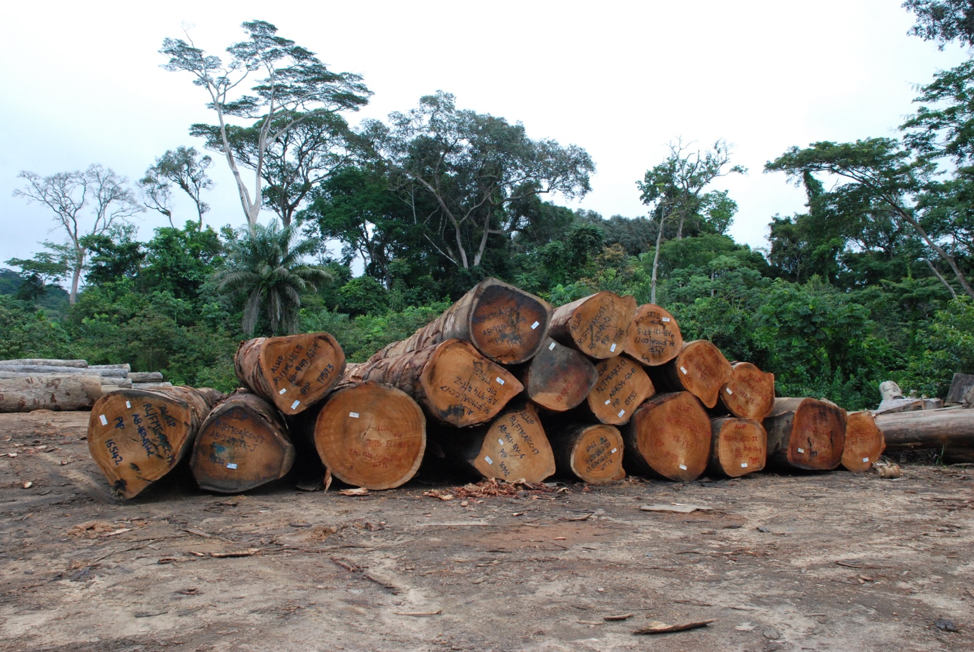 Logging