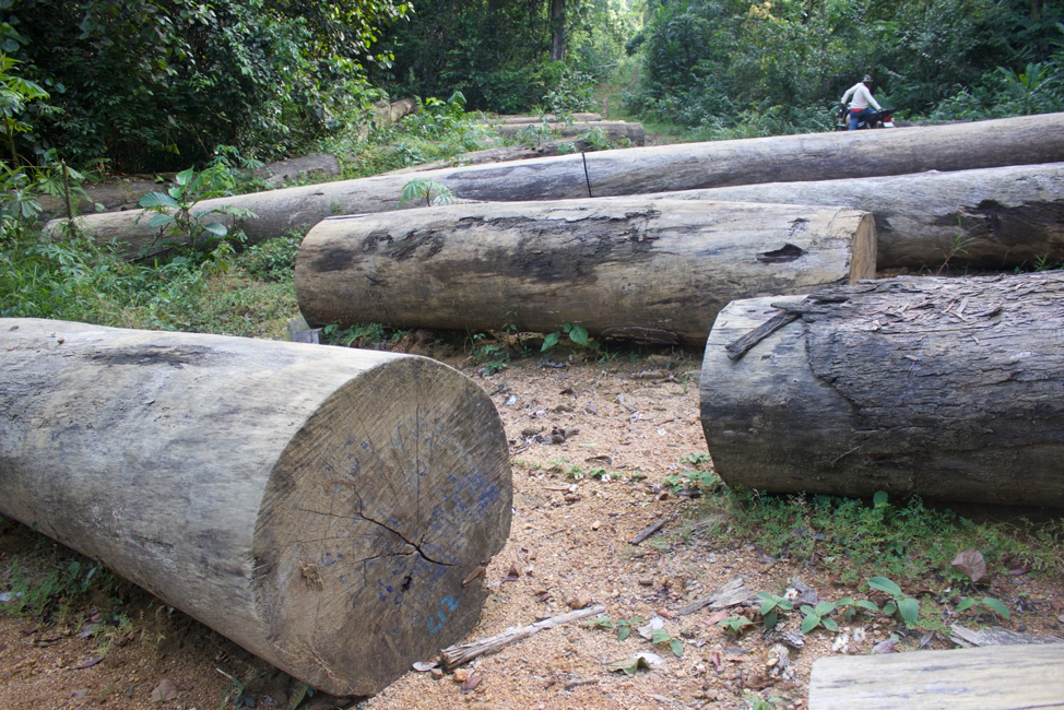 TSC All Logs