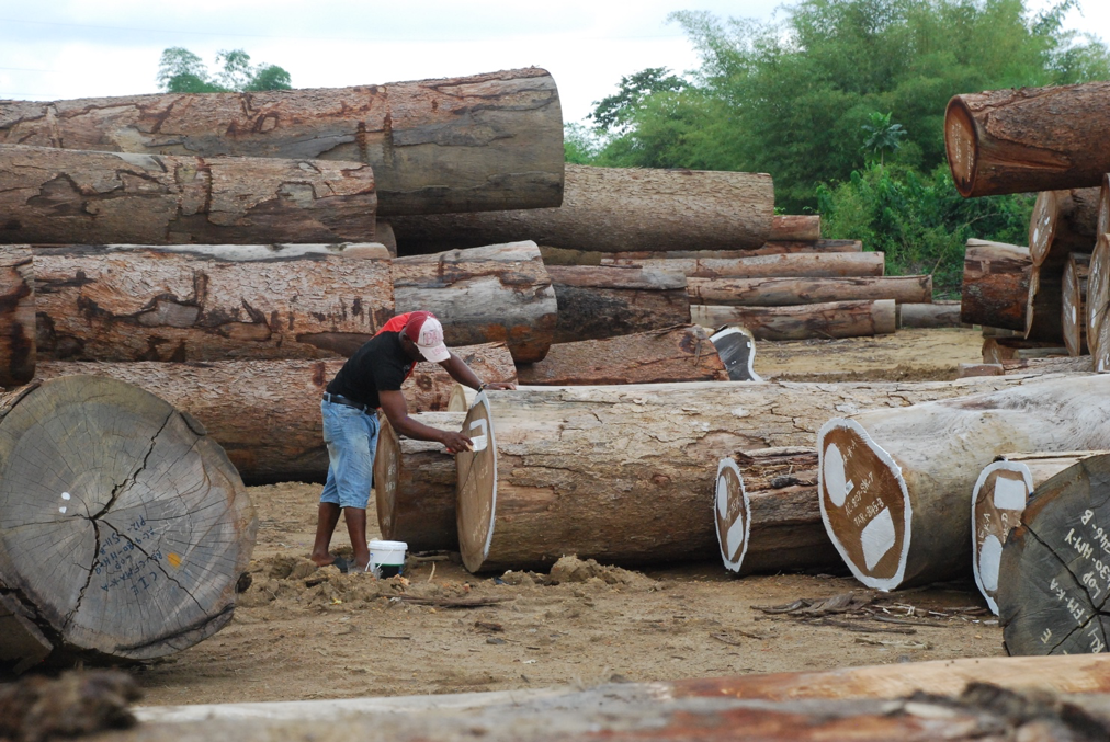 Logs 22 1