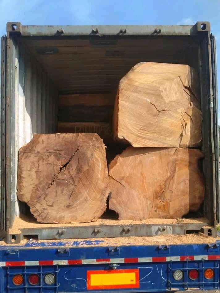 WhatsApp Image 2022 08 30 at 14.05.04