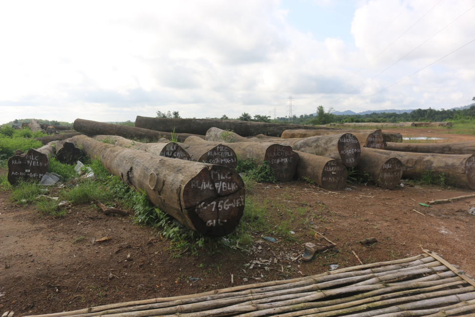 Masayaha abandoned logs 2