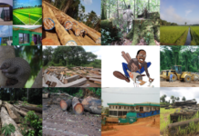 Editor’s Pick: Our Best Stories in 2022 Editors Pick Story headlines Pics.png Final