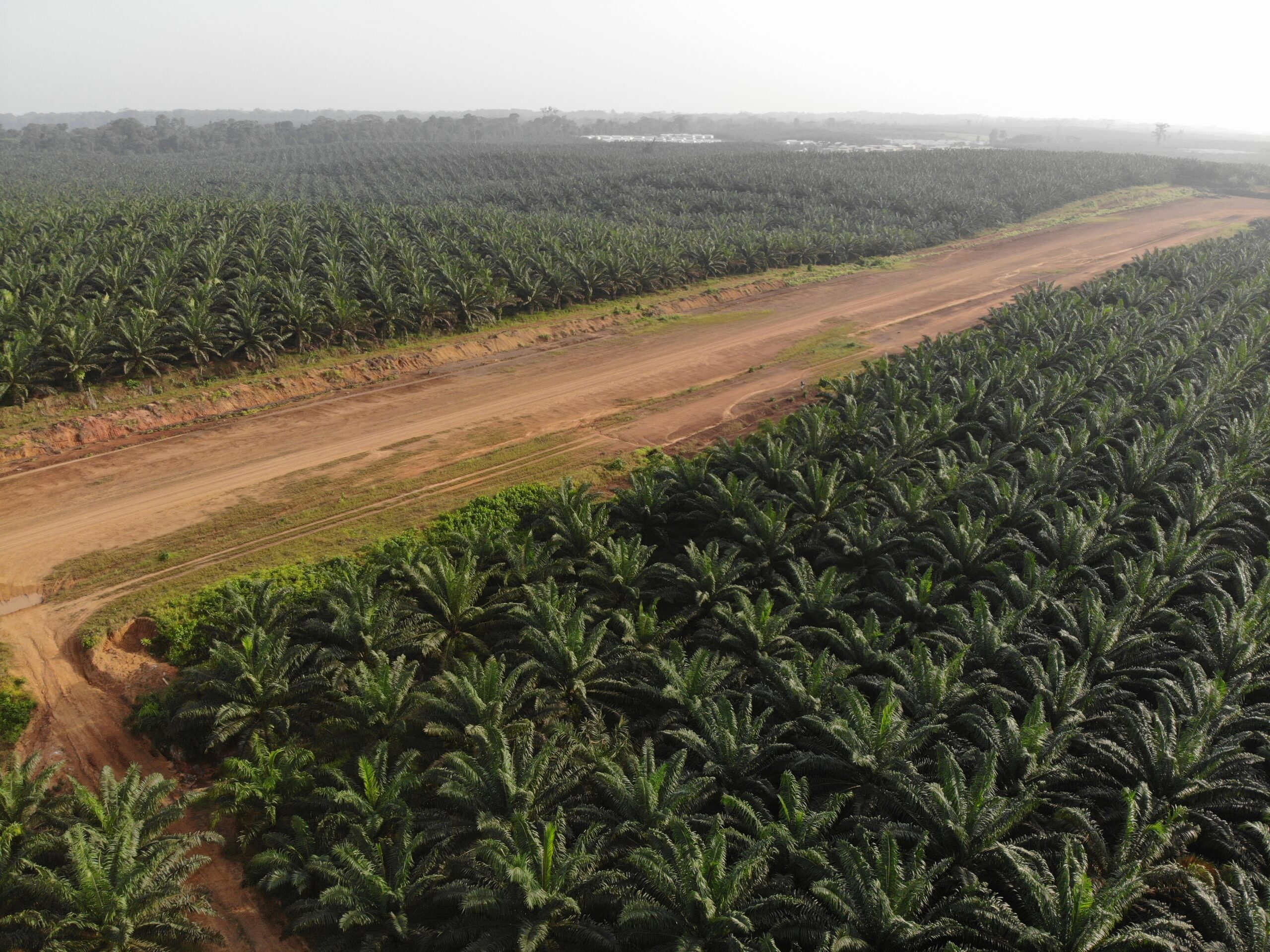 created by dji camera