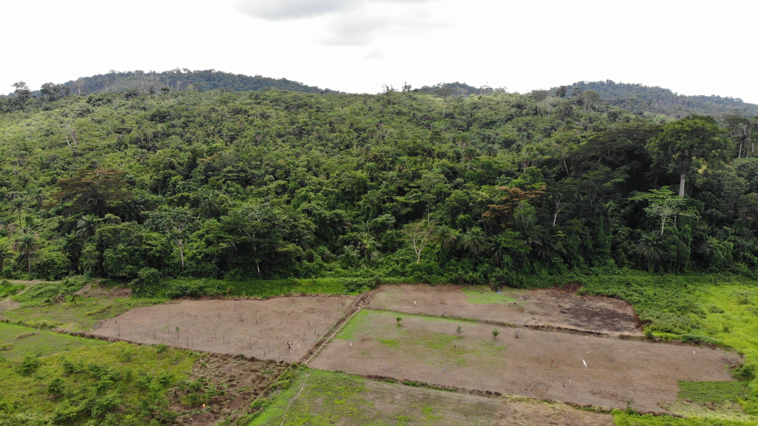 created by dji camera
