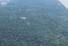 Rebuttal To The ‘Proposal For The De-Gazettement Of The Sapo National Park’