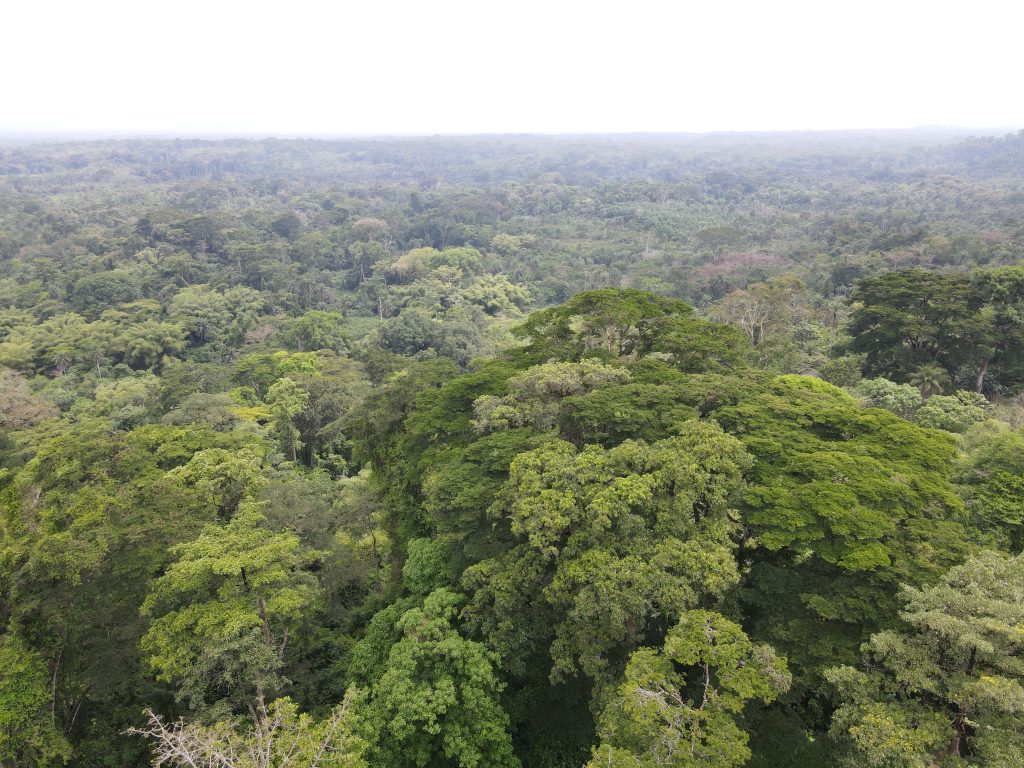DJI 0160