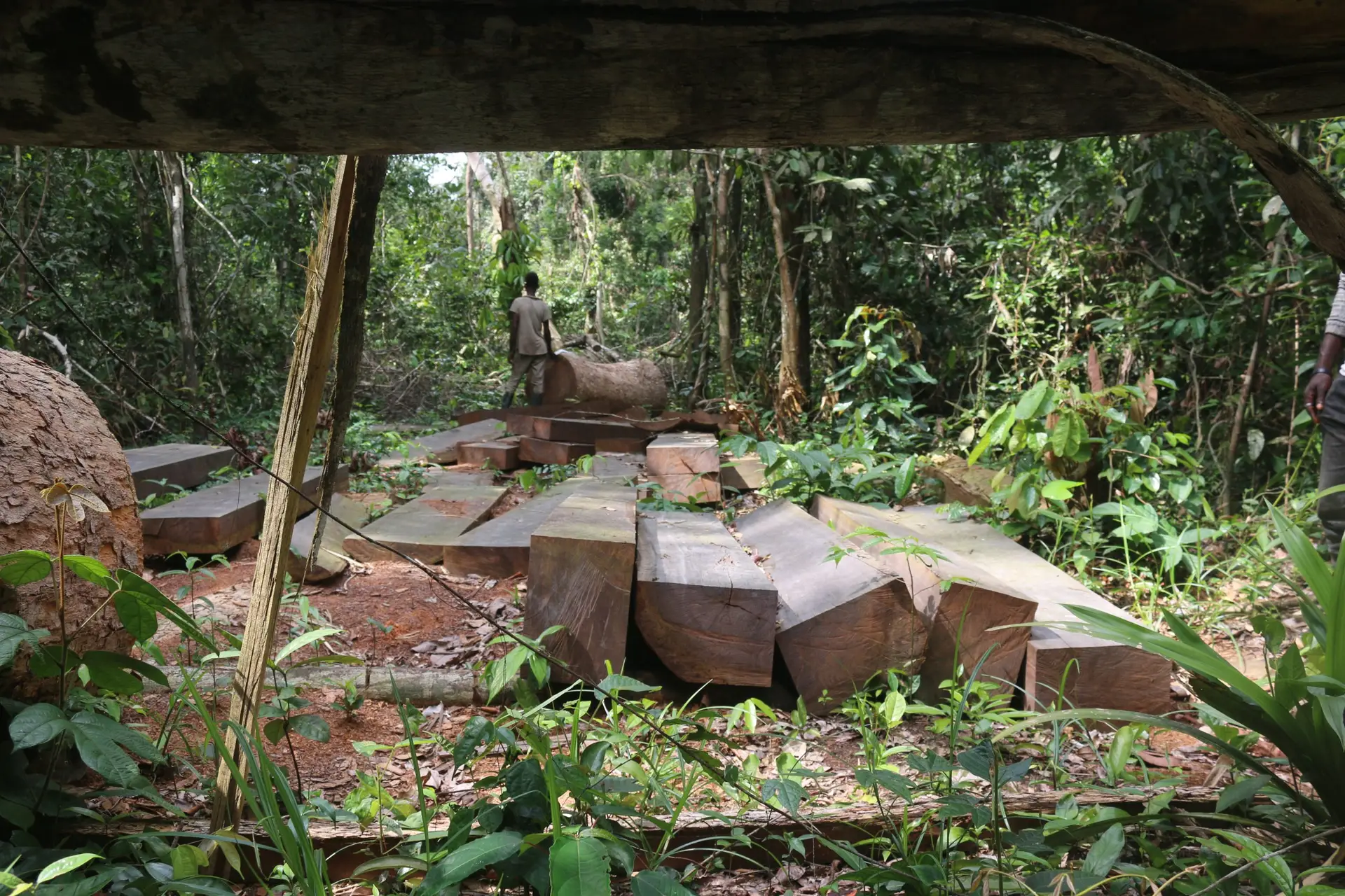 Kpokolo in Gbarpolu Kpokolo in Gbaryama, Gbarpolu County